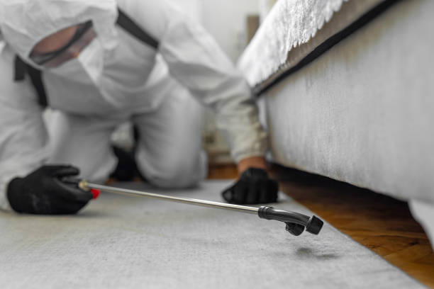 Professional Bed Bug Control technician working in McRae-Helena, GA