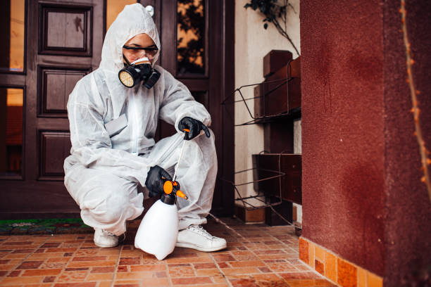 Reliable Bed Bug Control contractor in McRae-Helena, GA by Nex Pest Control