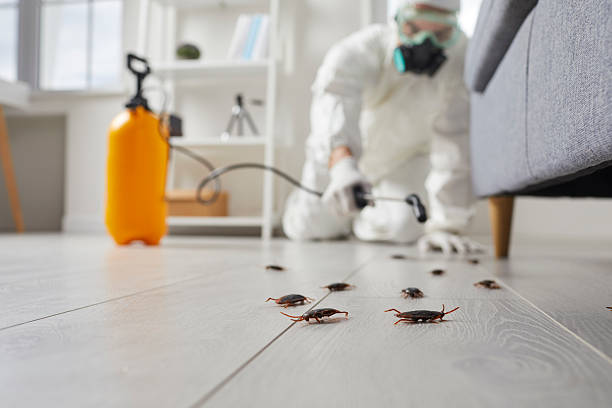 Trusted Rodent Control service in McRae-Helena, GA - Nex Pest Control