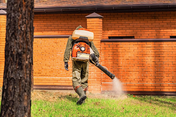 Trusted Bed Bug Control service in McRae-Helena, GA - Nex Pest Control